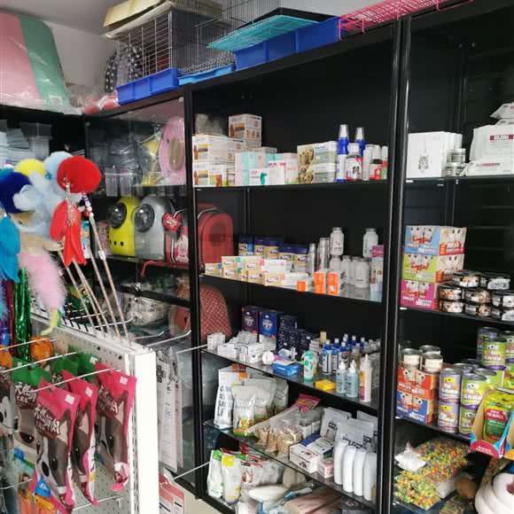 好伙伴宠物店:哈尔滨市道外区太平桥/百盛购物中心附近