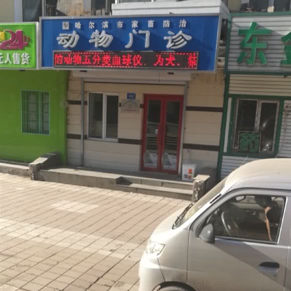 哈尔滨市家畜防治动物门诊:哈尔滨市道外区哈尔滨东站附近