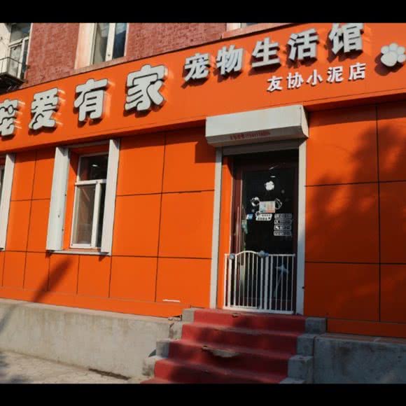 宠爱有家狗狗生活馆:哈尔滨市平房区新疆大街/平房经开区附近