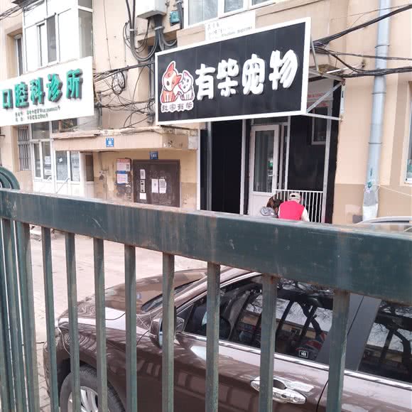 我家有柴有柴宠物:哈尔滨市平房区新疆大街/平房经开区附近