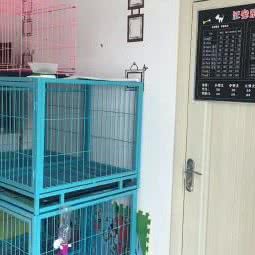 汪宠乐园宠物店:哈尔滨市平房区新疆大街/平房经开区附近