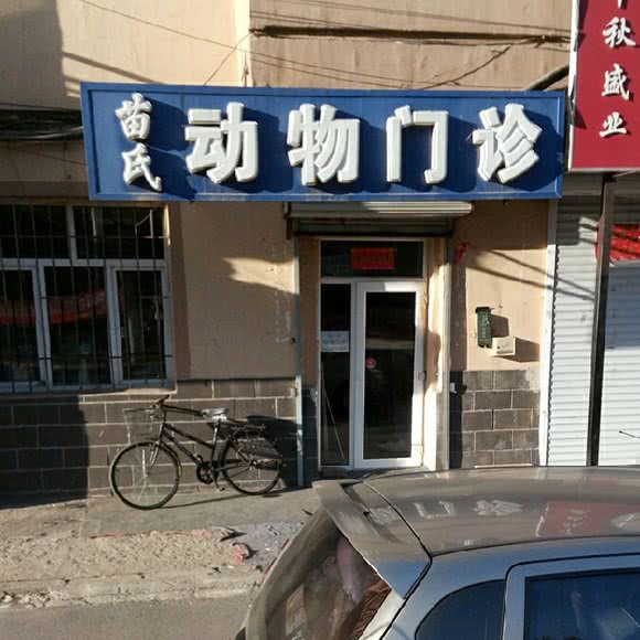 苗氏动物门诊:哈尔滨市平房区新疆大街/平房经开区附近