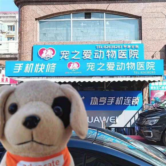 宠之爱动物医院(平房分院):哈尔滨市平房区新疆大街/平房经开区附近