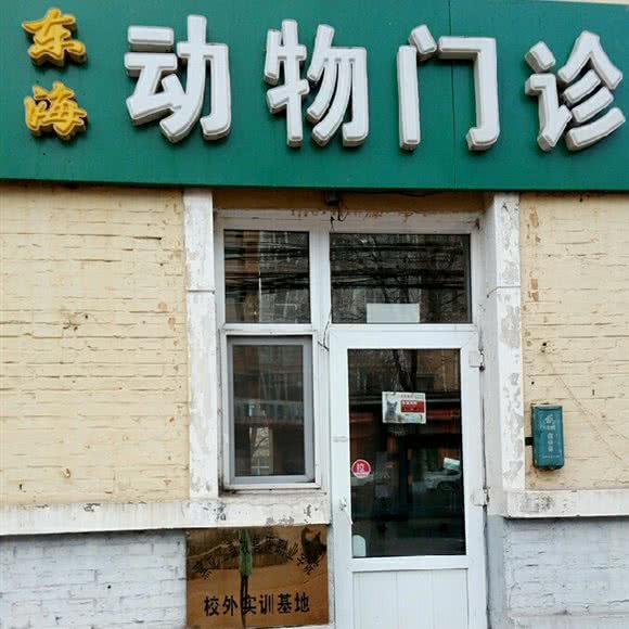 东海动物诊所:哈尔滨市平房区新疆大街/平房经开区附近