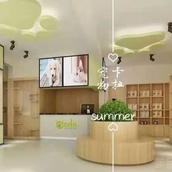 卡拉宠物医院(鑫源街店):哈尔滨市松北区世茂大道附近