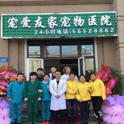 宠爱友家宠物医院:哈尔滨市松北区世茂大道附近