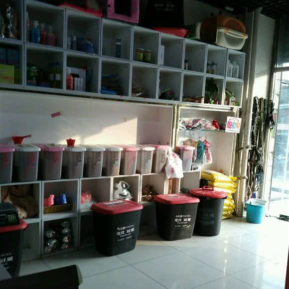 献爱心动物诊所:北京城区丰台区卢沟桥附近