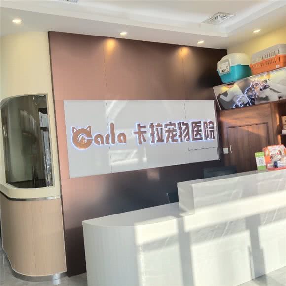 卡拉宠物医院(富力城店):哈尔滨市松北区中源大道附近