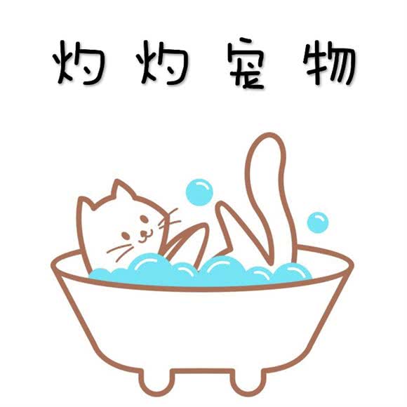 灼灼宠物生活馆:哈尔滨市香坊区三大动力/三合路附近