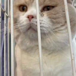 宝丽面包店:北京城区丰台区大红门附近