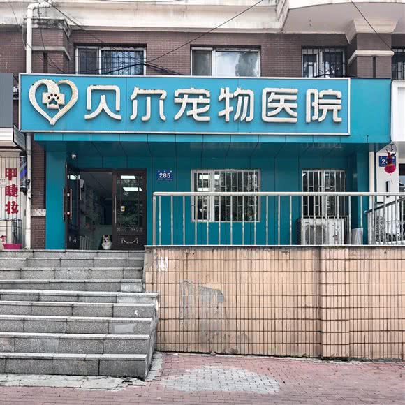 贝尔宠物医院(三合路店):哈尔滨市香坊区三大动力/三合路附近