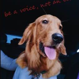 博然宠物医院(三合路分院):哈尔滨市香坊区三大动力/三合路附近