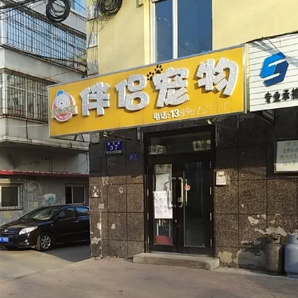 伴侣宠物:哈尔滨市香坊区木材街/东北农业大学附近