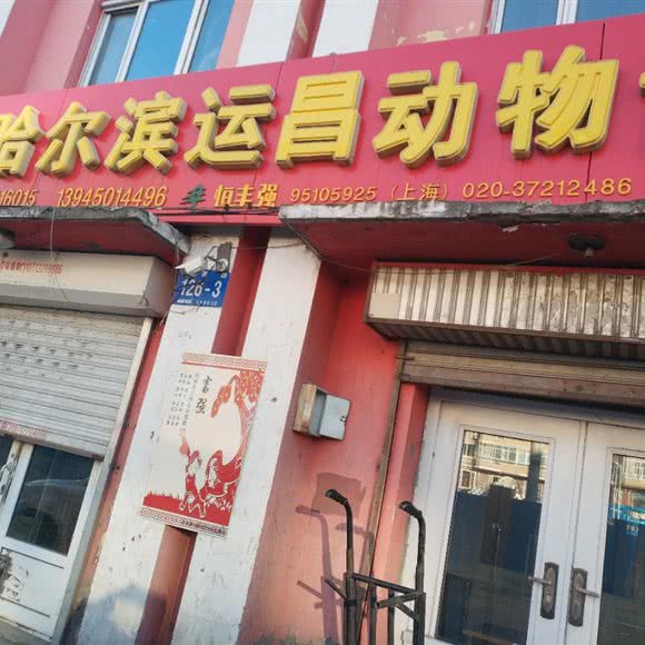 哈尔滨运昌动物诊所:哈尔滨市香坊区木材街/东北农业大学附近