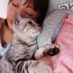 Cream小猫生活馆:北京城区丰台区大红门附近