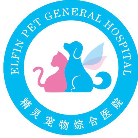 青岛精灵宠物医院:哈尔滨市香坊区菜艺街/珠江路附近