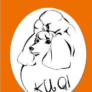 酷奇宠物:哈尔滨市呼兰区学院路附近