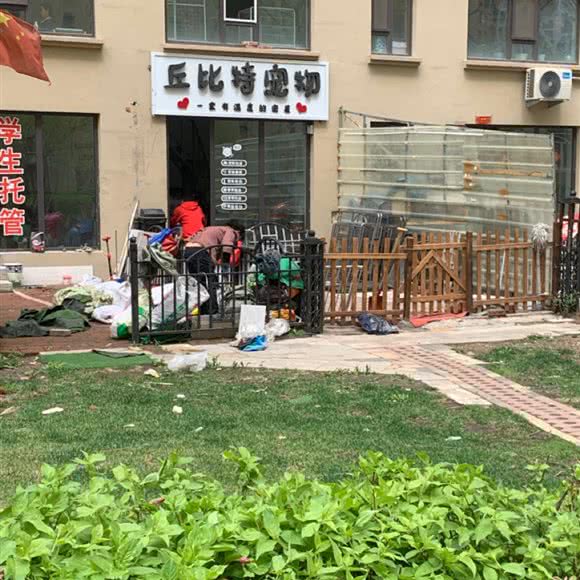 丘比特宠物:哈尔滨市呼兰区学院路附近