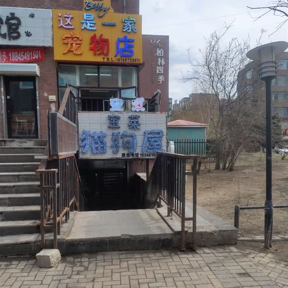 宝莱猫狗屋:哈尔滨市呼兰区学院路附近