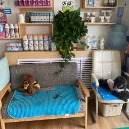 创意宠物生活馆:哈尔滨市呼兰区学院路附近
