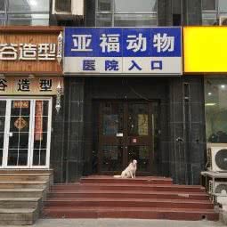 亚福荣丰动物医院:北京城区西城区广外大街附近