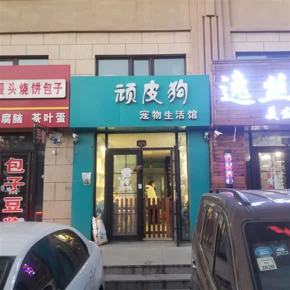 顽皮狗:哈尔滨市呼兰区学院路附近