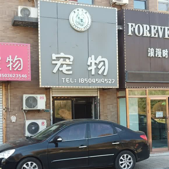 奥朗犬舍:哈尔滨市呼兰区学院路附近
