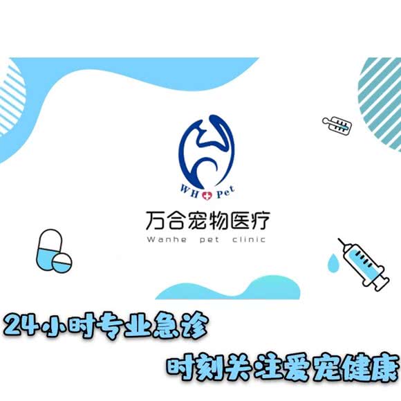 万合宠物医院(地恒托斯卡纳):哈尔滨市呼兰区学院路附近