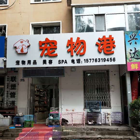 宠物港:哈尔滨市呼兰区萧红故居/呼兰老城区附近