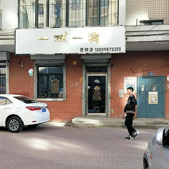 一猫一狗:哈尔滨市呼兰区萧红故居/呼兰老城区附近