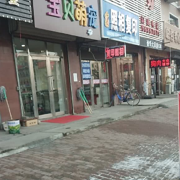 宝贝萌宠:哈尔滨市呼兰区萧红故居/呼兰老城区附近