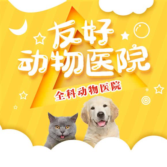 友好动物医院:北京城区丰台区大红门附近