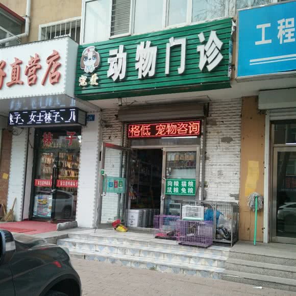 宠爱动物门诊:哈尔滨市呼兰区萧红故居/呼兰老城区附近