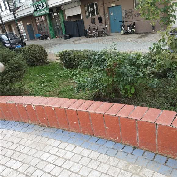 伴左右宠物:哈尔滨市呼兰区南京路附近