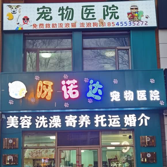 呀诺达宠物医院:哈尔滨市呼兰区南京路附近