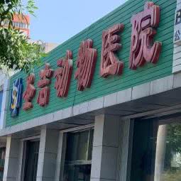 圣洁动物医院:北京城区丰台区大红门附近