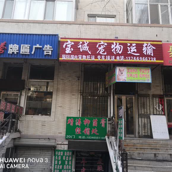 宝诚宠物运输:哈尔滨市阿城区阿城区附近