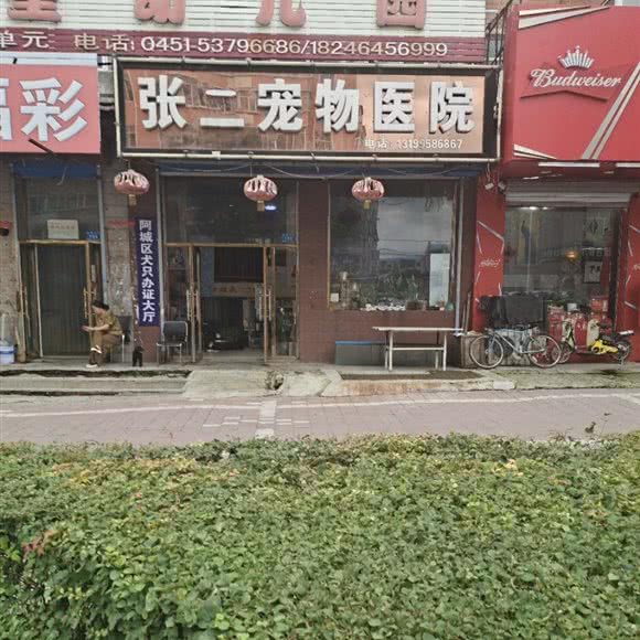 张二宠物医院:哈尔滨市阿城区阿城区附近