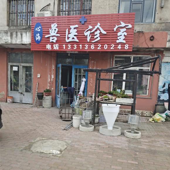 心海兽医诊室:哈尔滨市阿城区阿城区附近