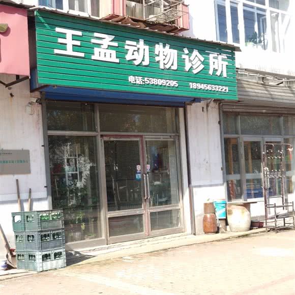 王孟动物诊所:哈尔滨市阿城区阿城区附近