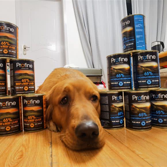 YY火锅宠物店(槐房万达店):北京城区丰台区槐房万达广场附近