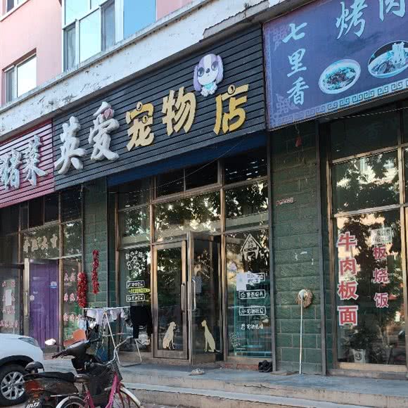英爱宠物店:哈尔滨市通河县通河县附近