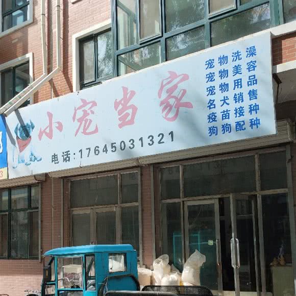 小宠当家:哈尔滨市通河县通河县附近