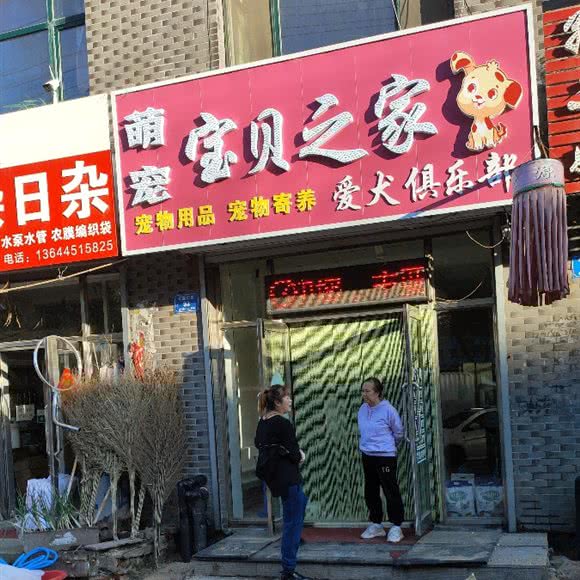 萌宠宝贝之家:哈尔滨市延寿县延寿县附近