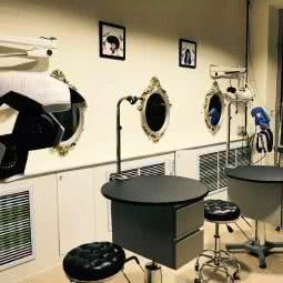 梦溪宠物尚志店:哈尔滨市尚志市尚志市附近