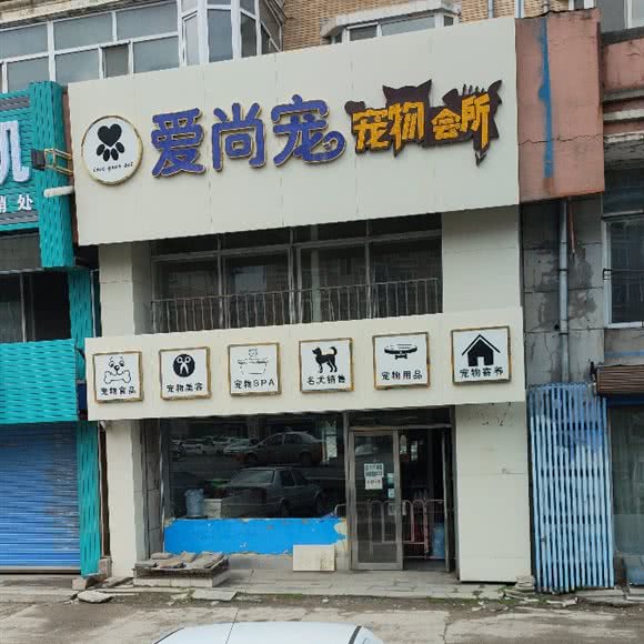 爱尚宠宠物会所:哈尔滨市尚志市尚志市附近