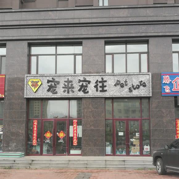 宠来宠往:哈尔滨市尚志市尚志市附近