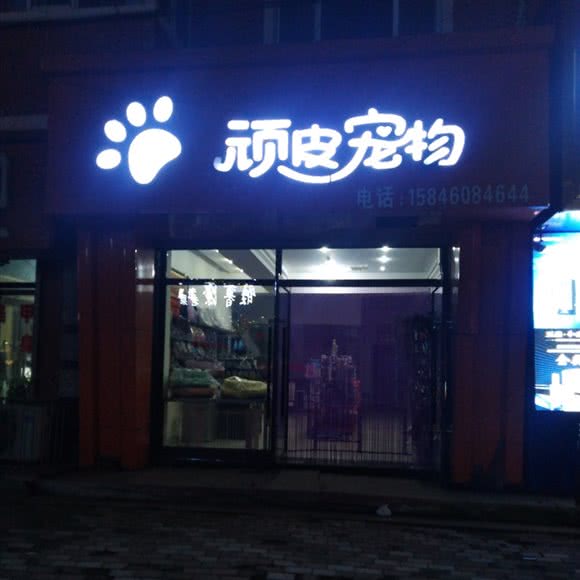 顽皮宠物:哈尔滨市五常市五常市附近