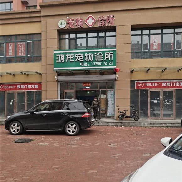 鸿龙宠物诊所(金街时代购物广场店):哈尔滨市五常市五常市附近