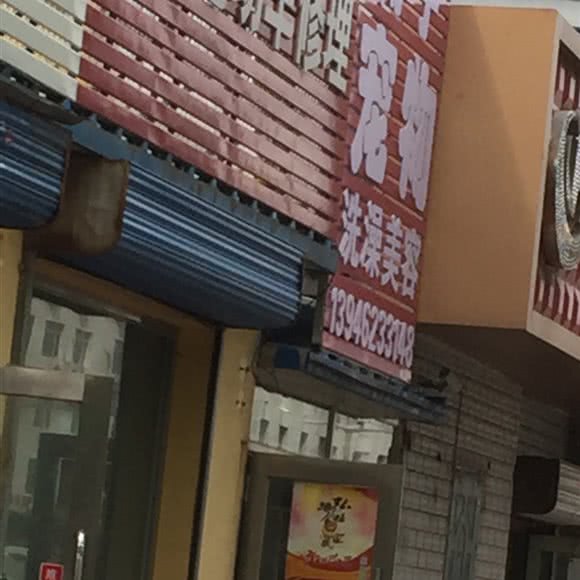 杨子宠物:齐齐哈尔市龙沙区合意路附近